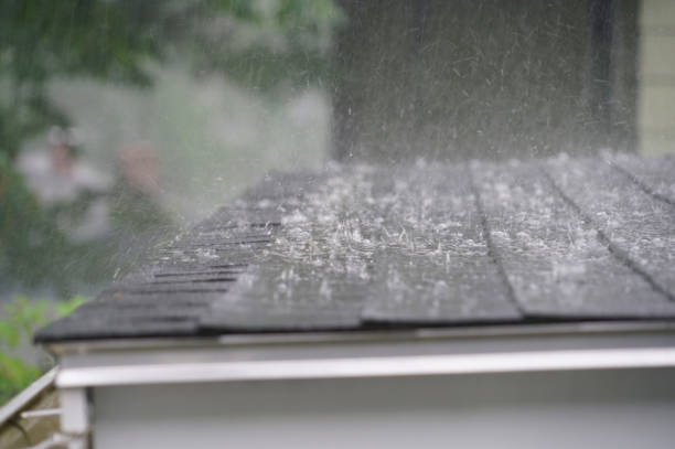 Best Emergency Roof Repair Services  in Bellevue, PA