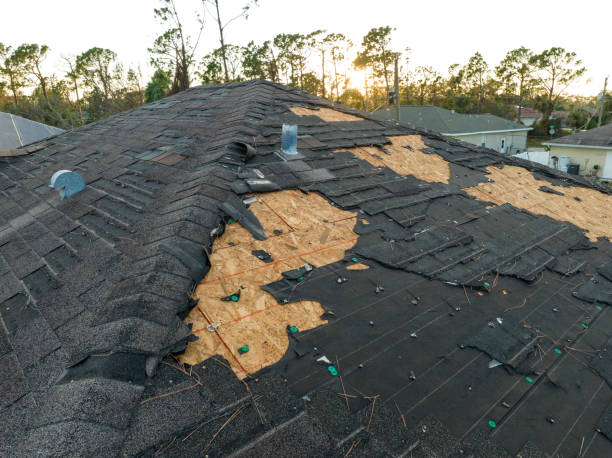 Best Rubber Roofing (EPDM, TPO)  in Bellevue, PA